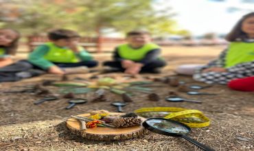 Sürmegöz, AHS' DE MULTİBEM 🌿