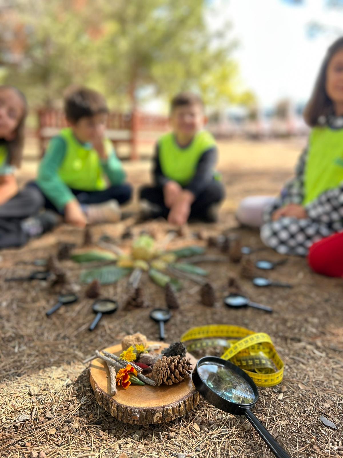 Srl Asansör, Kabin Modelleri, Konya Asansör Firması, AHS' DE MULTİBEM 🌿