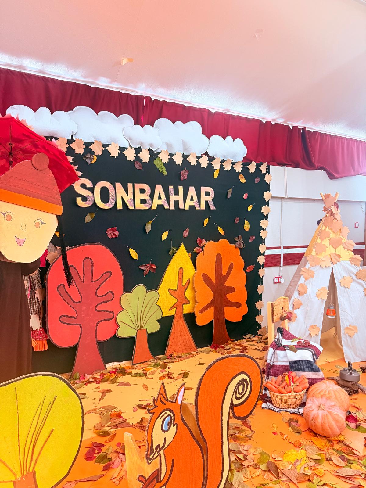 Srl Asansör, Kabin Modelleri, Konya Asansör Firması, SONBAHARA VEDA...🍁🍂🤎