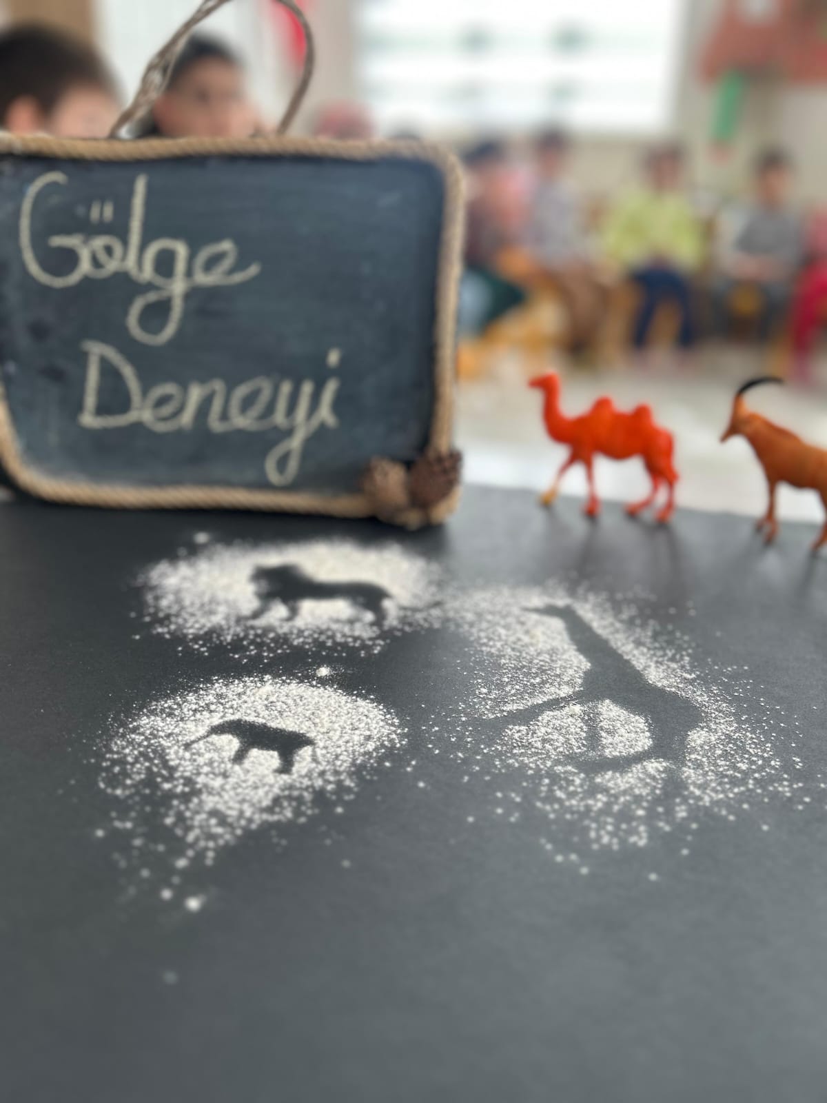 Srl Asansör, Kabin Modelleri, Konya Asansör Firması, DENEY-GÖZLEM.🧪🔎