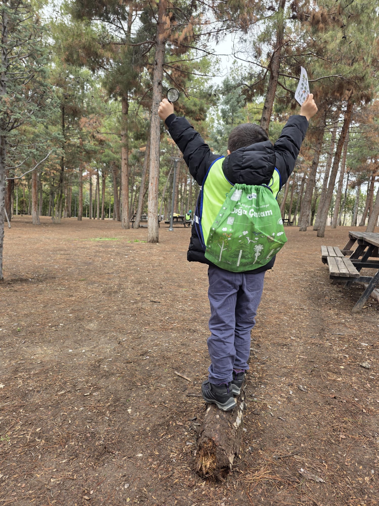 Srl Asansör, Kabin Modelleri, Konya Asansör Firması, ORMAN HAFTASI 🌳 🦉 🏕️